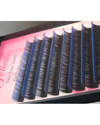 CILS dégradé couleur BLEU