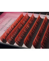 CILS dégradé couleur ROUGE